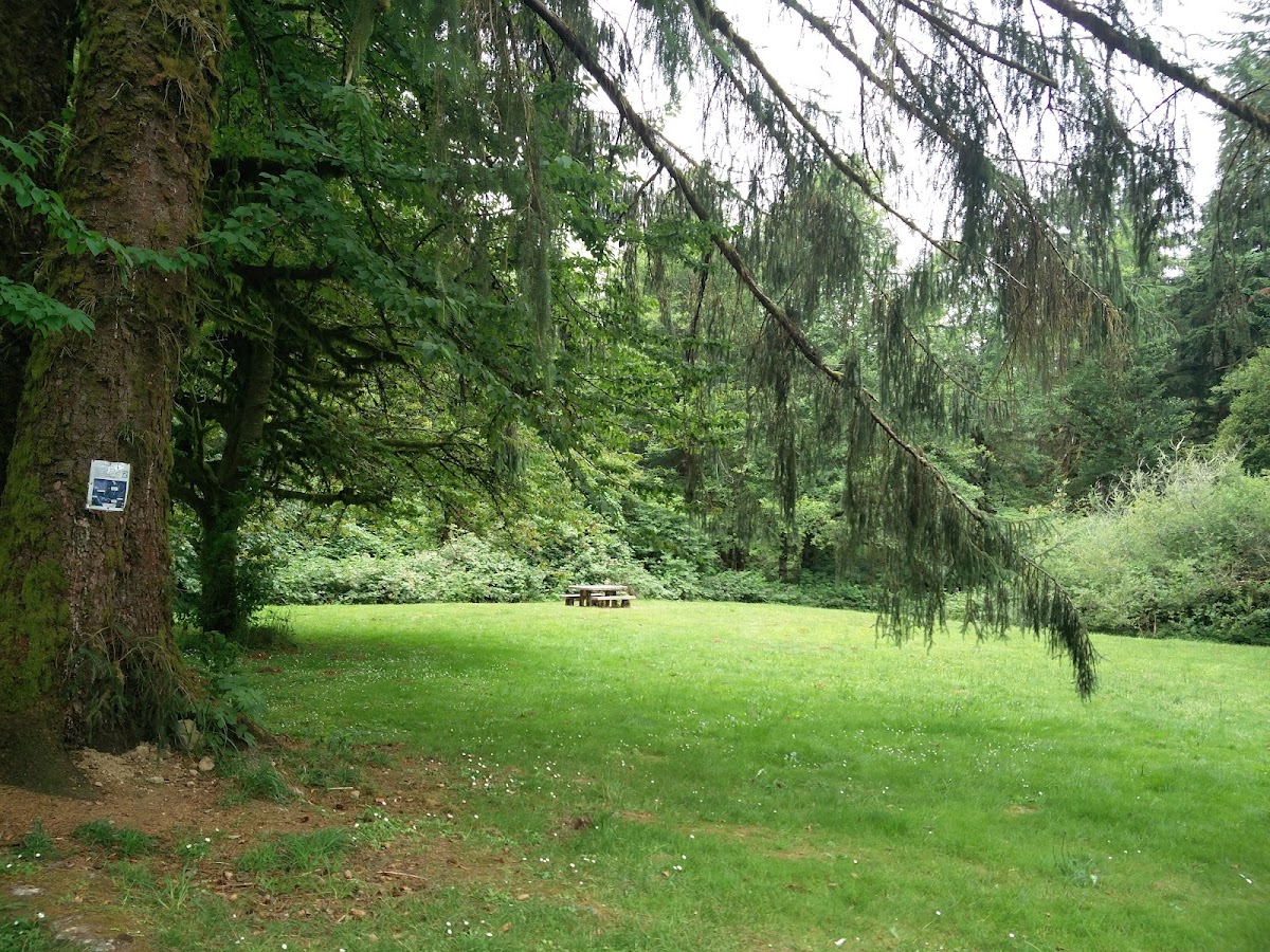 H.B. Van Duzer Forest State Scenic Corridor