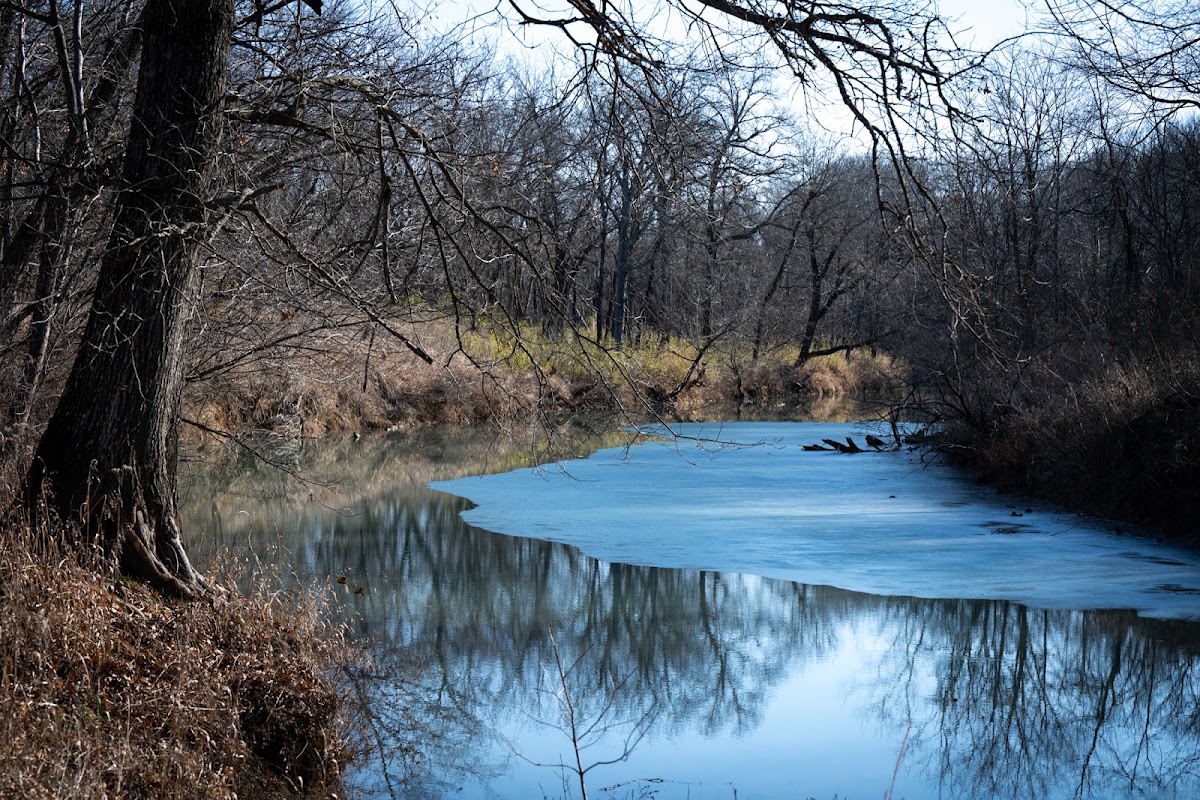 Yourman Wildlife Management Area