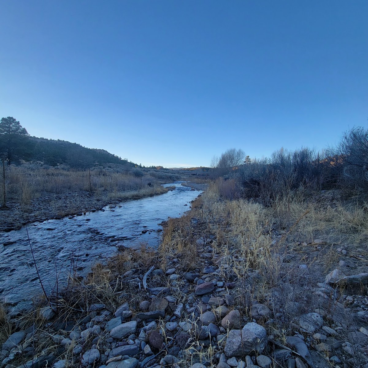 Granny Mountain Trail #160