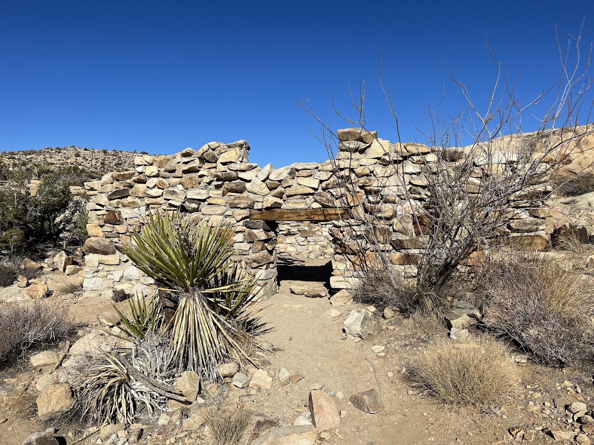 Desert Queen Mine Trail