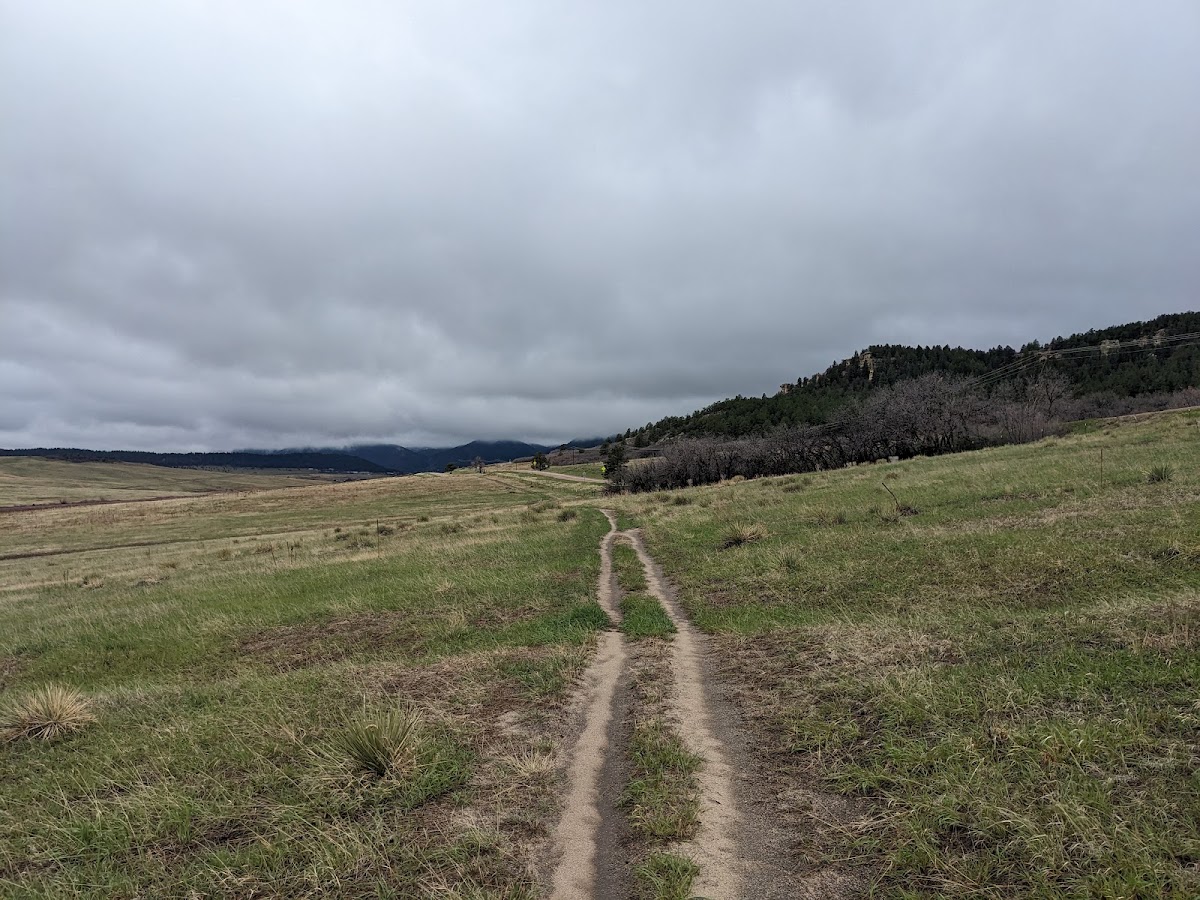 Spruce Meadows Open Space