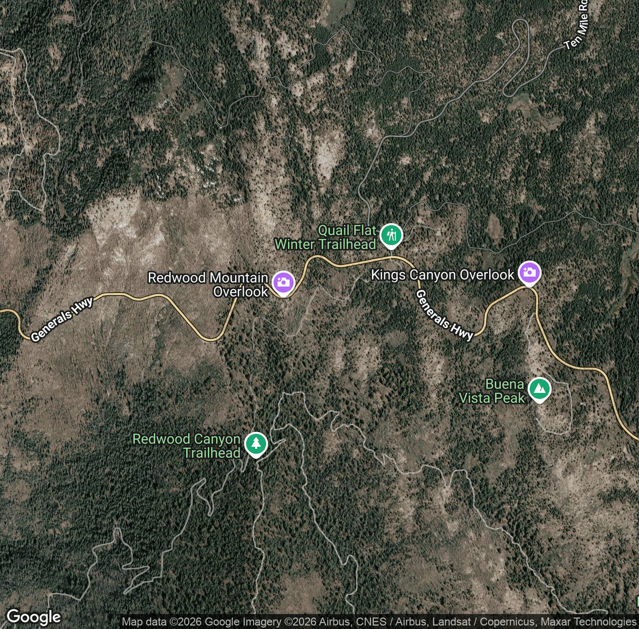 Redwood Saddle Road