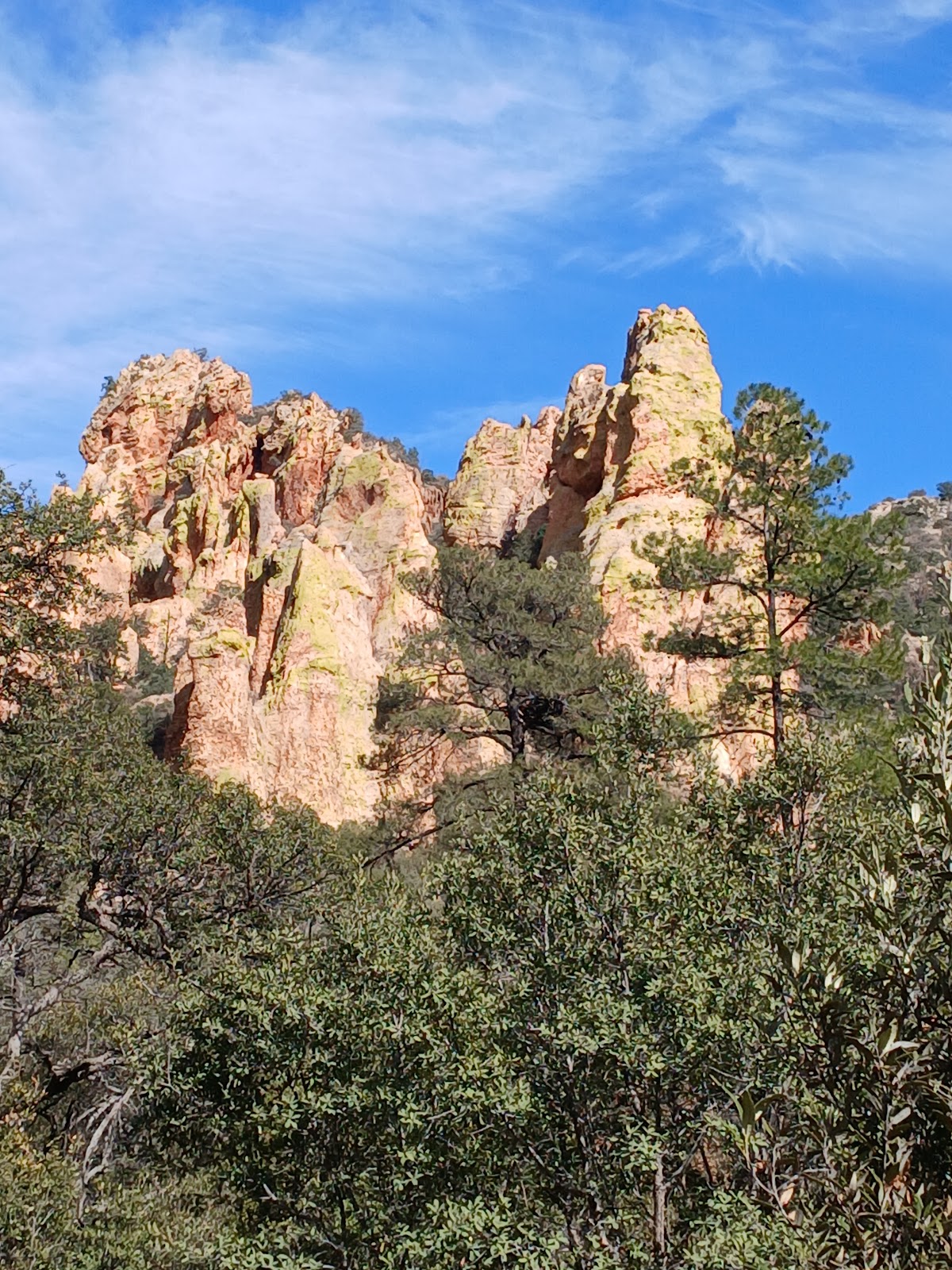 South Fork Trail #243