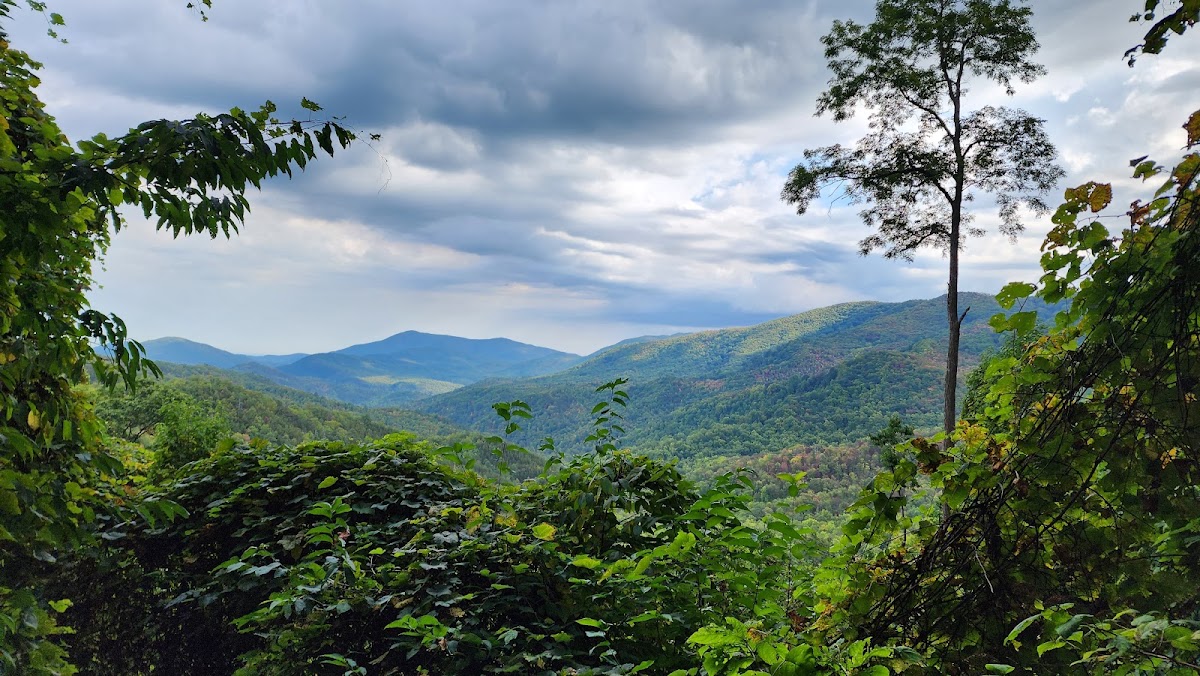 Finley Cane Trail