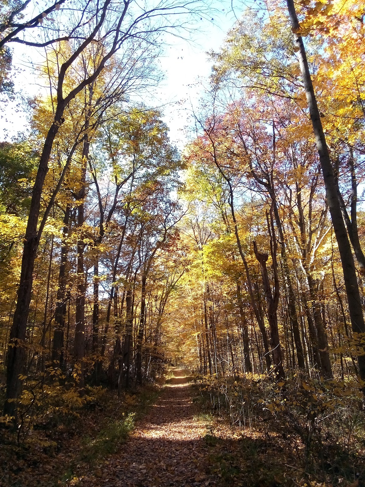 Valley Picnic Area