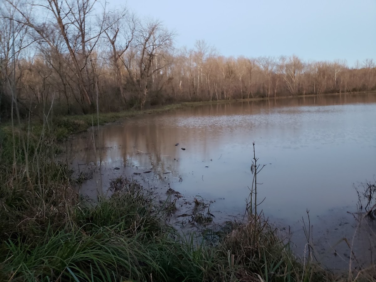 Duncan Creek