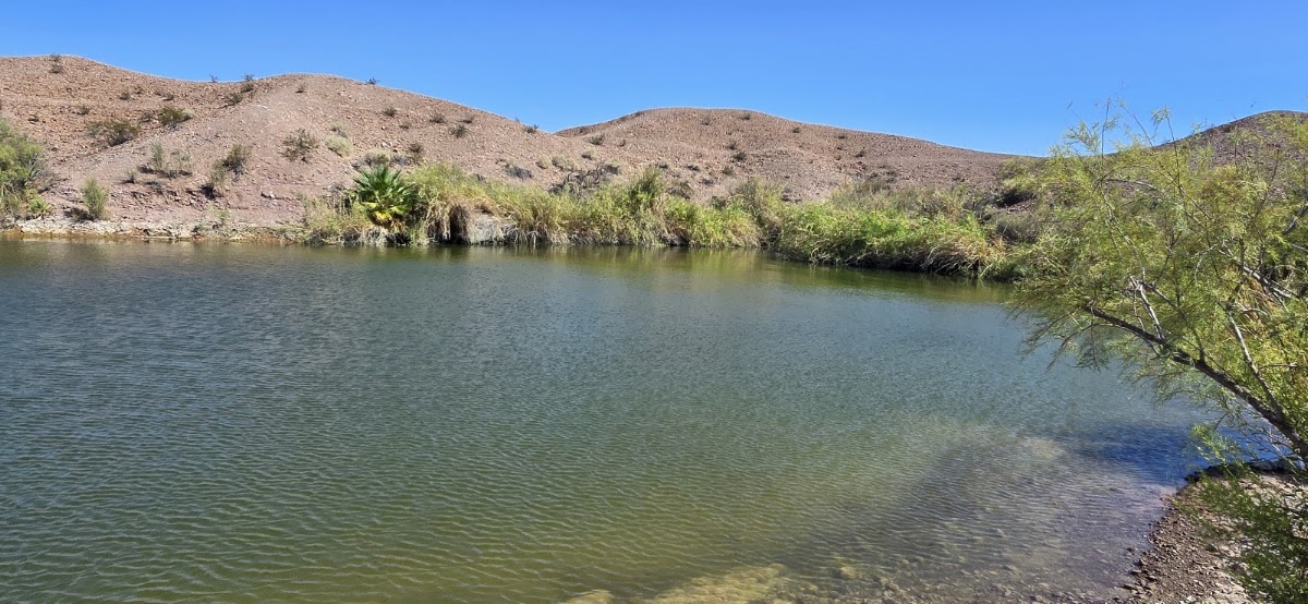 Ferguson Lake