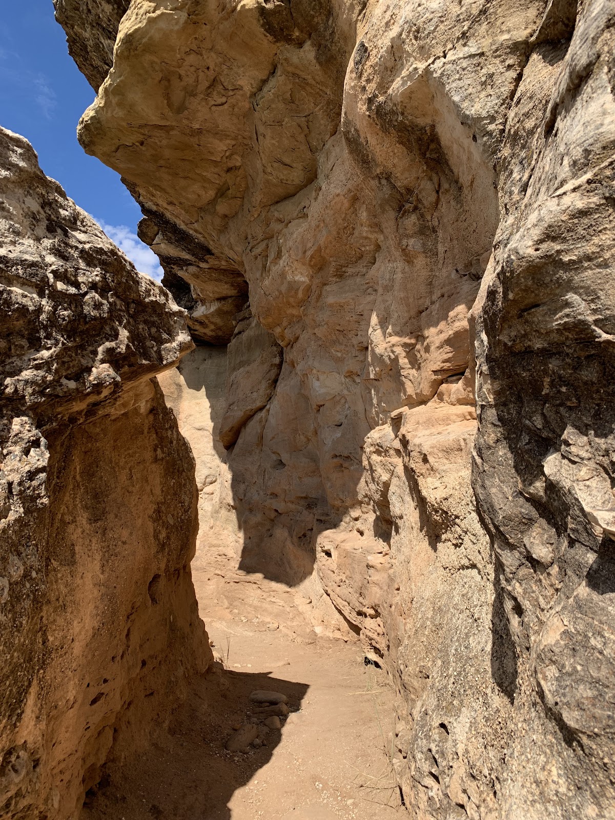 Sage Hen Loop Trail