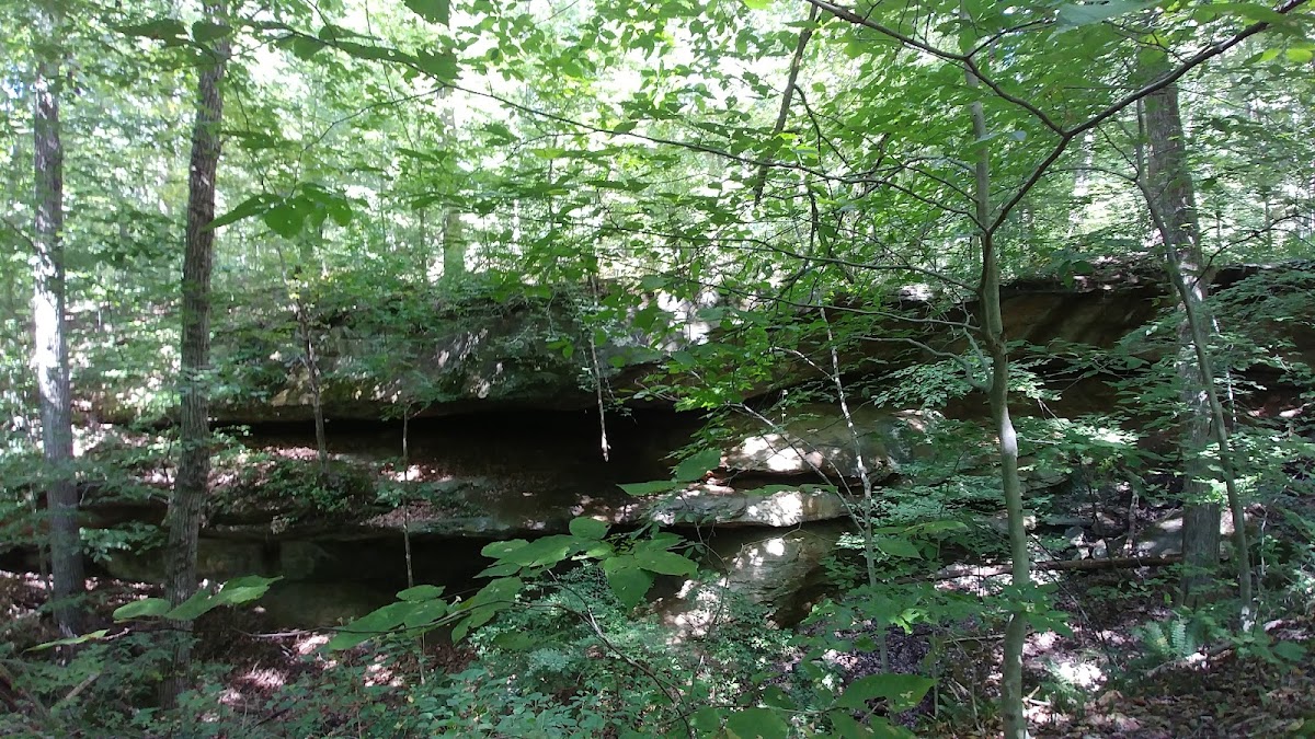 Monday Creek
