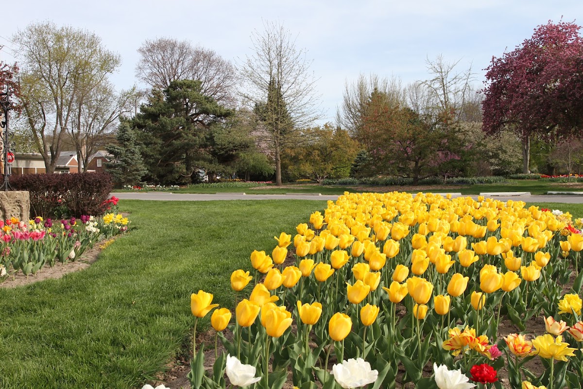 Foster Park