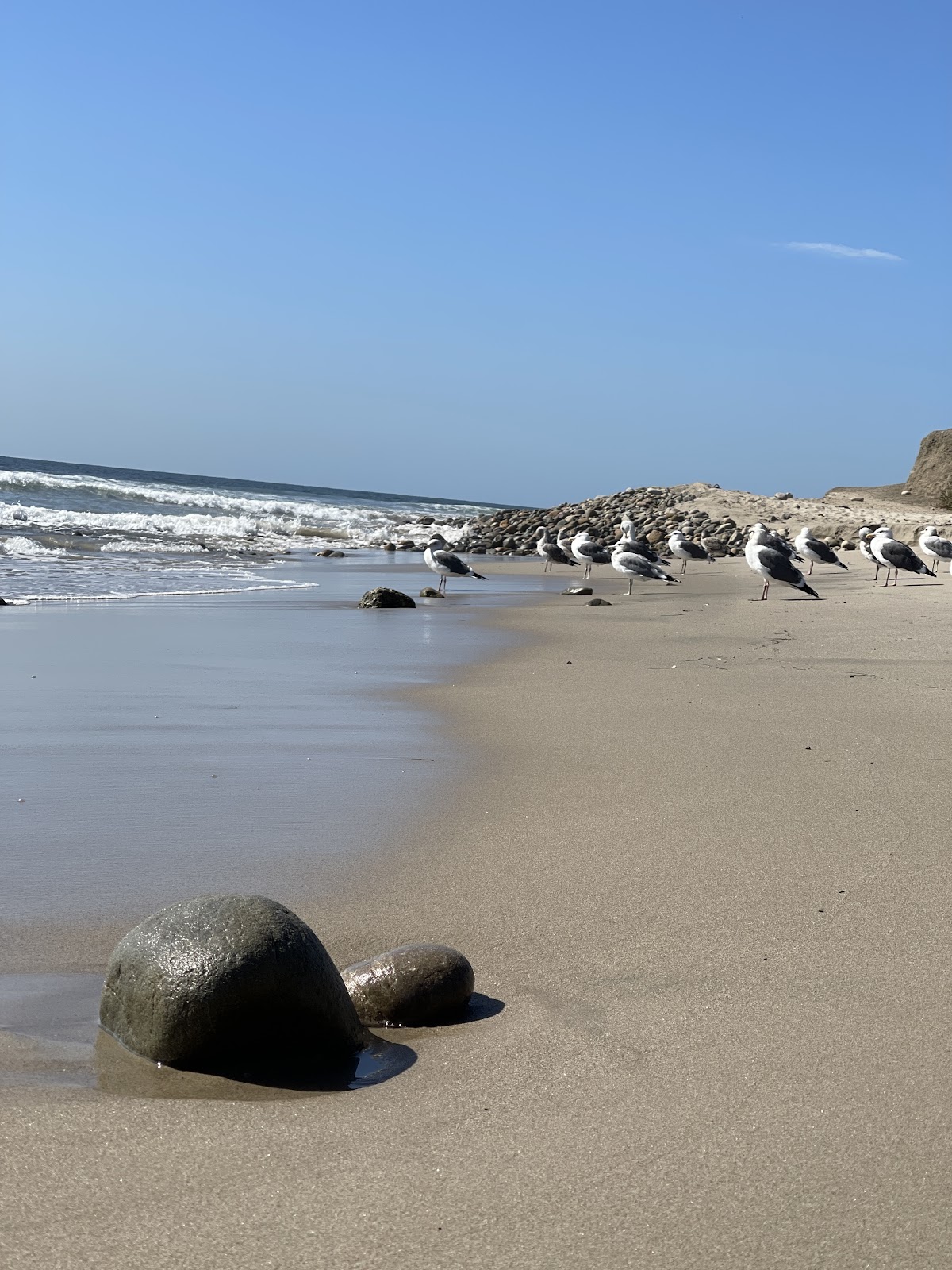 Topanga County Beach