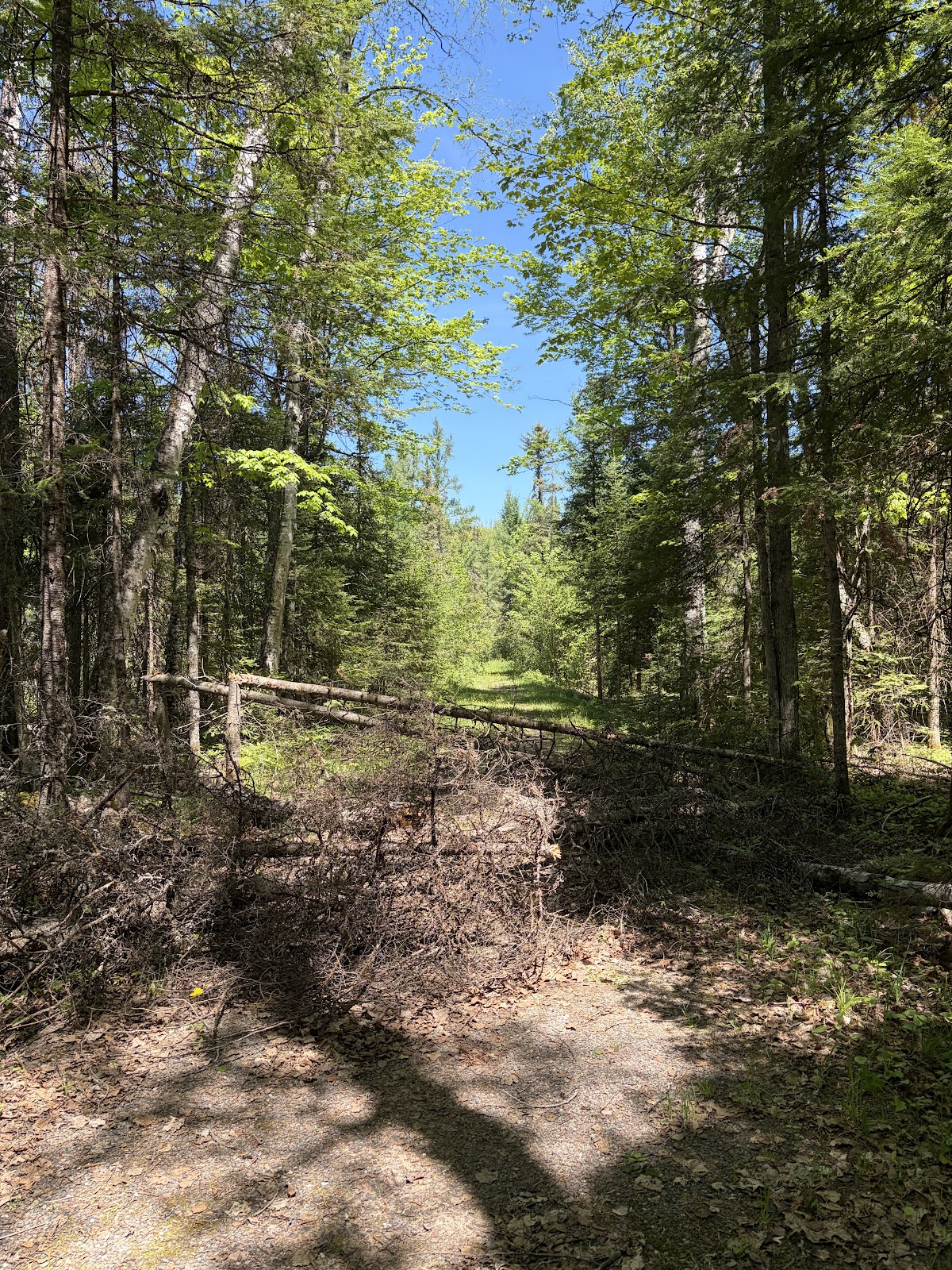 Agonikak National Recreation Trail