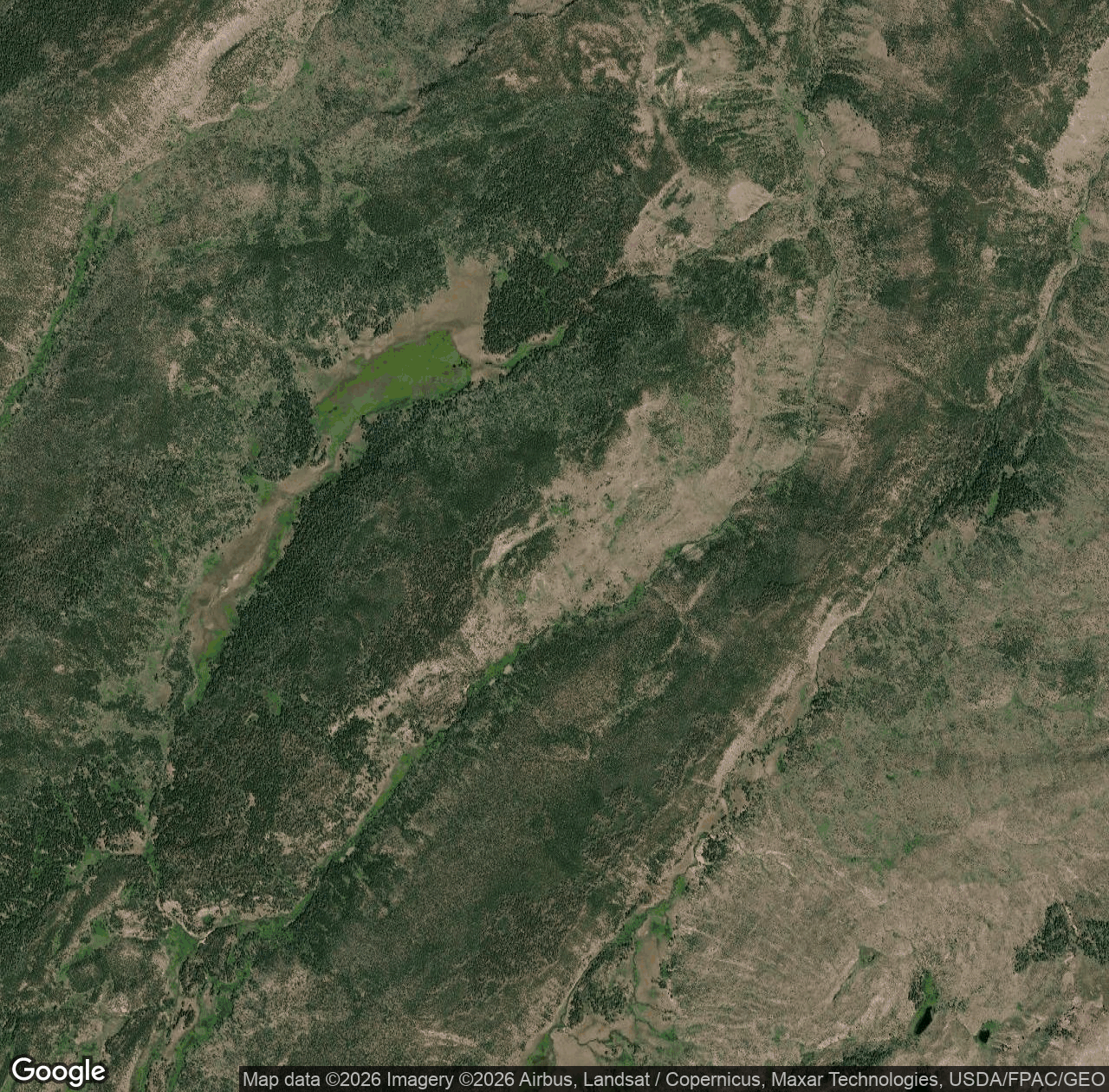 Buffalo Fork