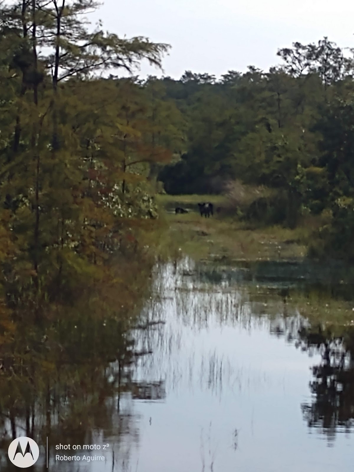Raccoon Point Trail