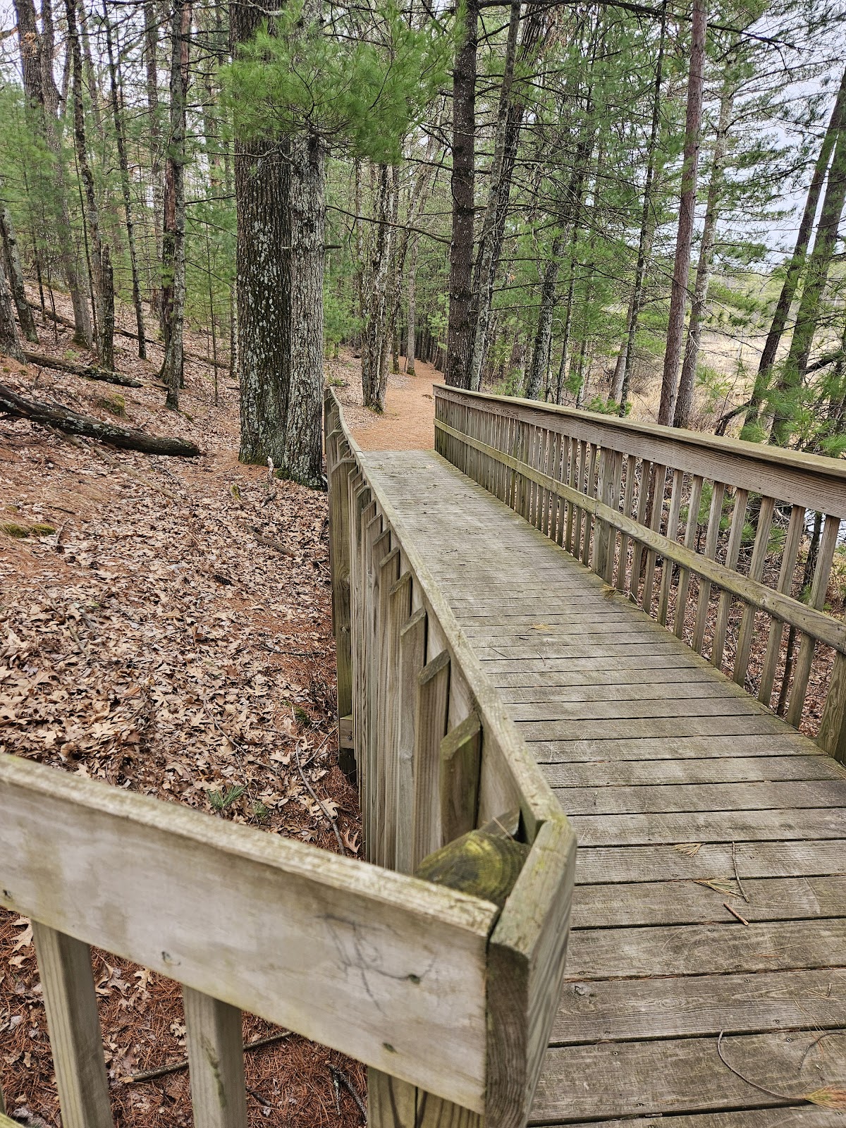 Monroe County Forest
