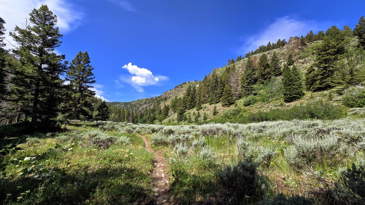 Rock Creek