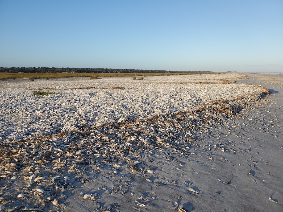 Edingsville Beach