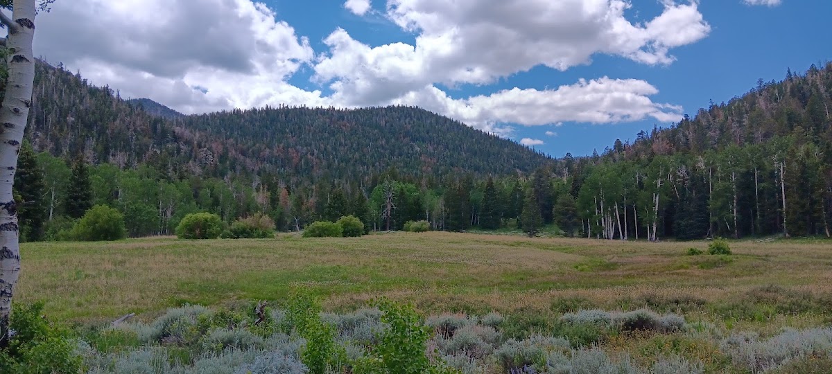 Baker Creek Trail