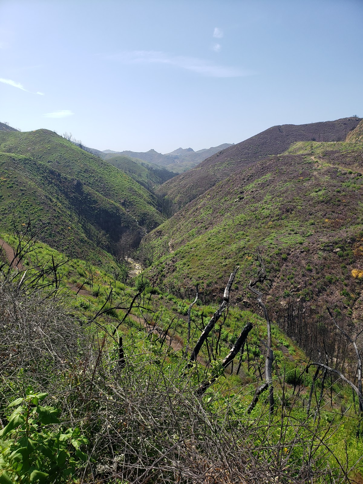 Trancas Creek