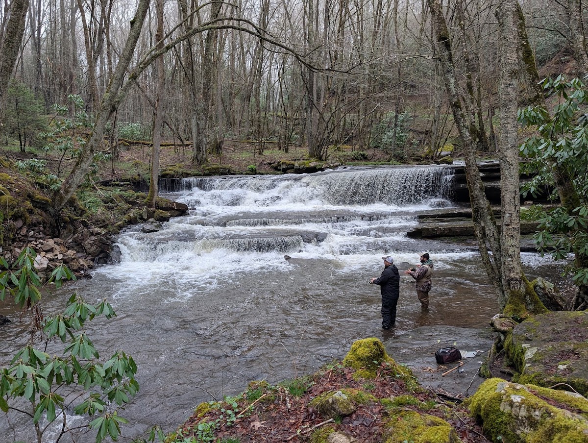 Tumbling Creek