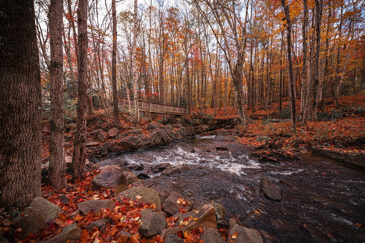 Appalachian Trail