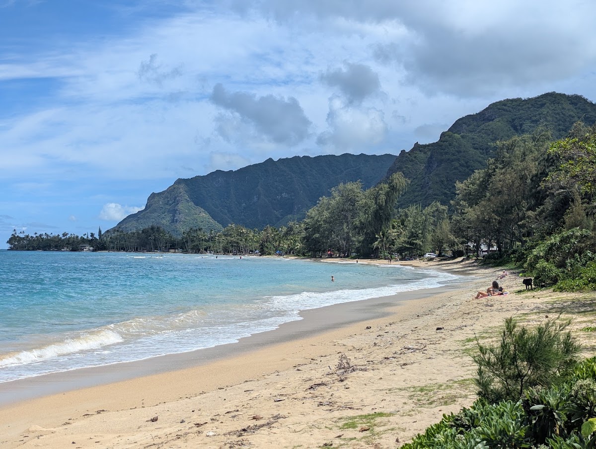 PunaluÊ»u Stream