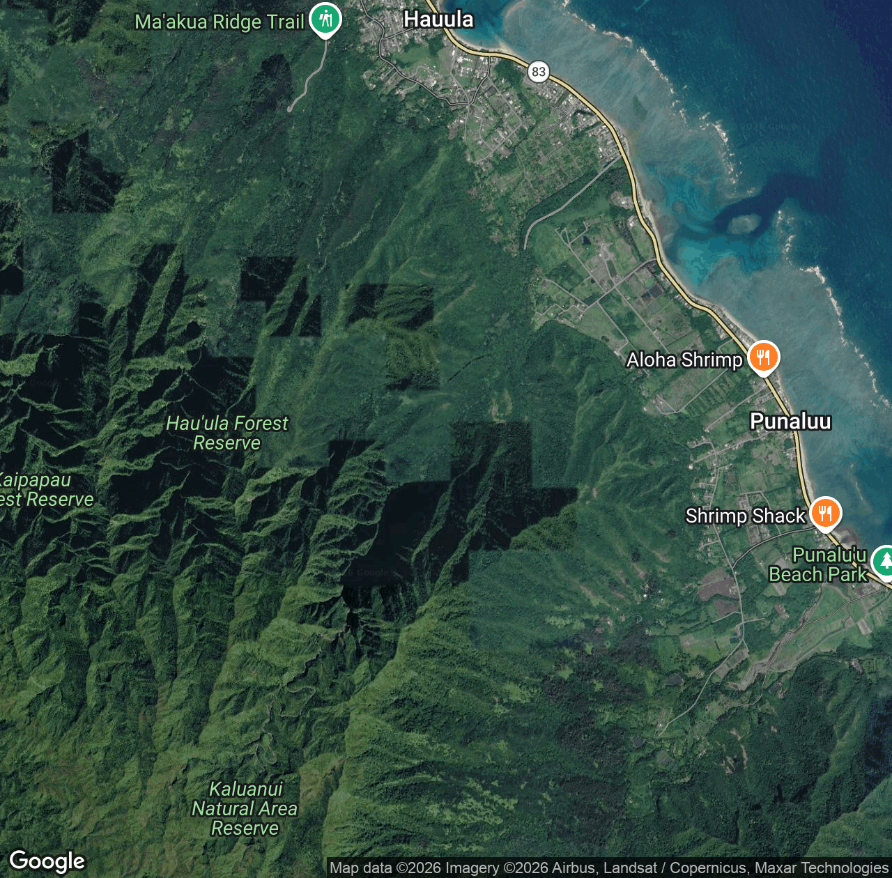 Kaluanui Stream