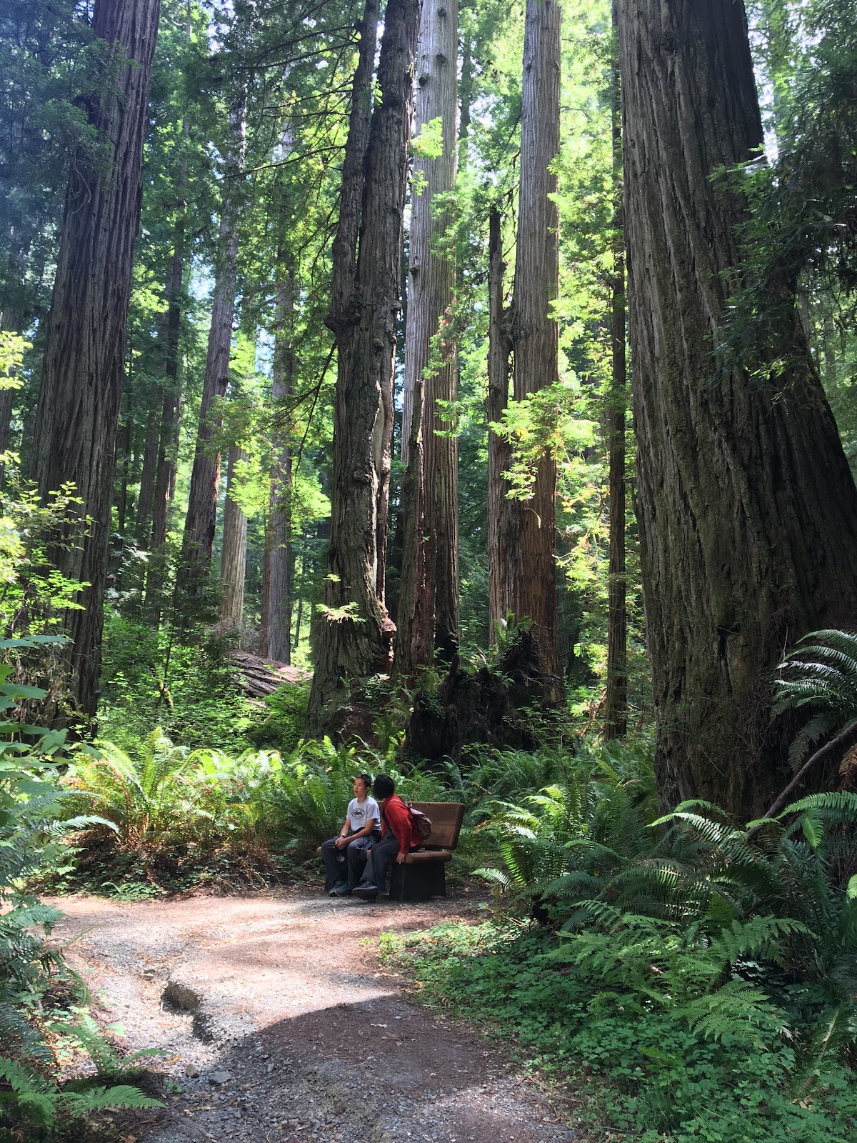 Leiffer Loop Trail