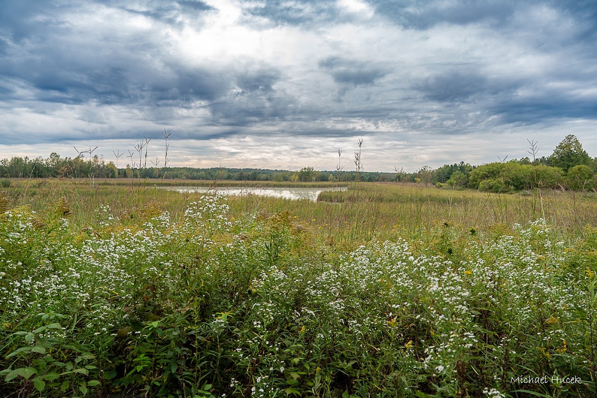 Reclaimed Flambeau Mine Nature Trails & Recreation Area