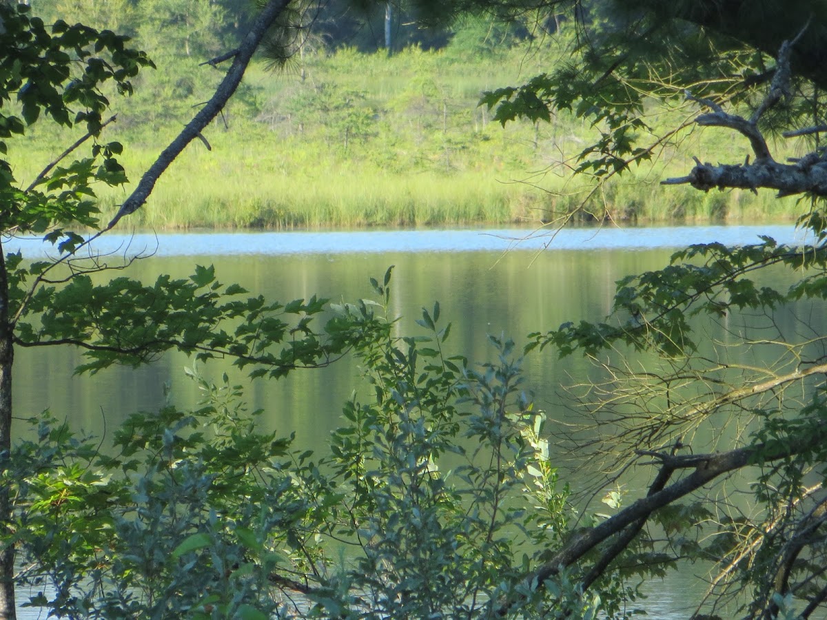 River Lakes