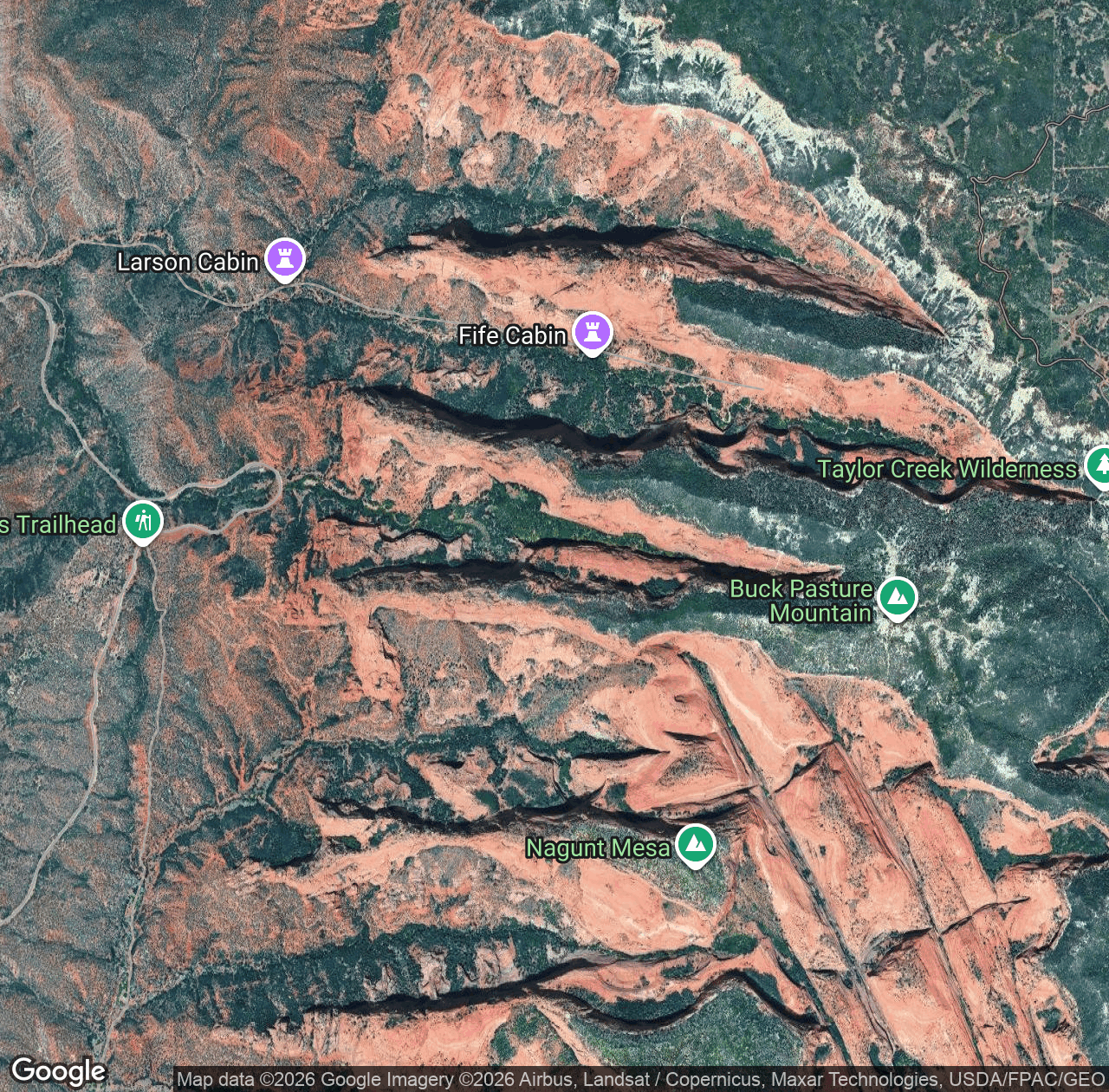 South Fork of Taylor Creek