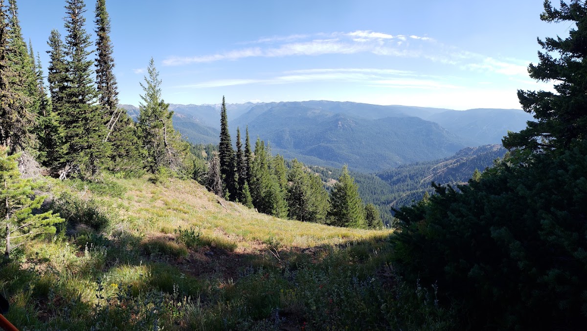 Cougar Ridge Trail