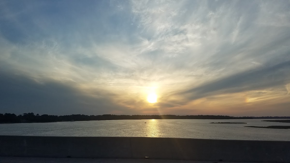 Turtle River