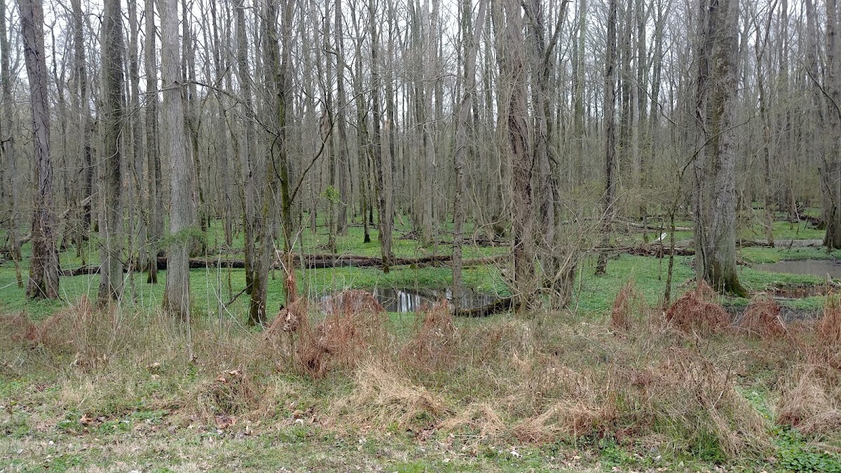 Washington, Baltimore & Annapolis Trail