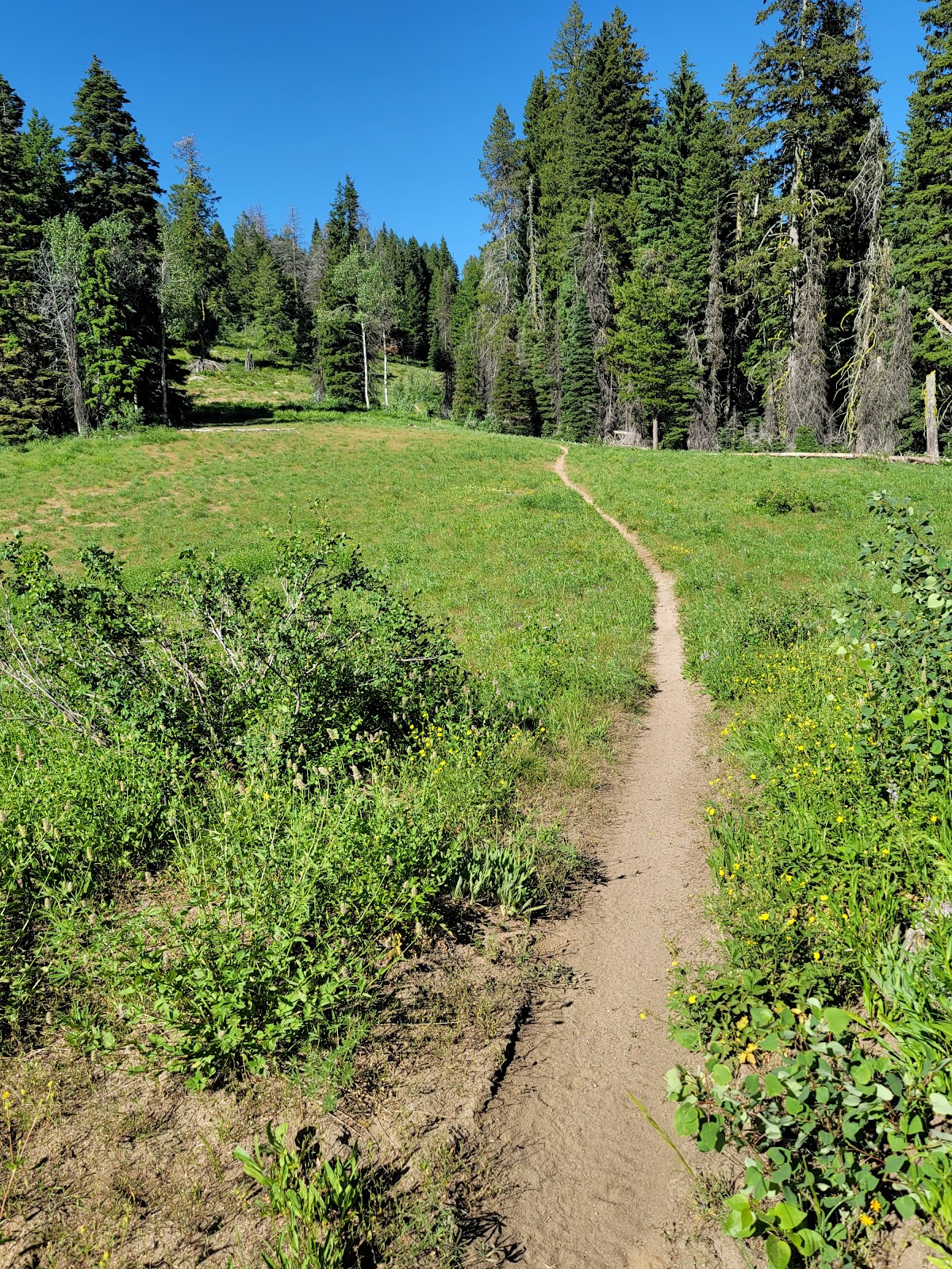 West Mountain Trail
