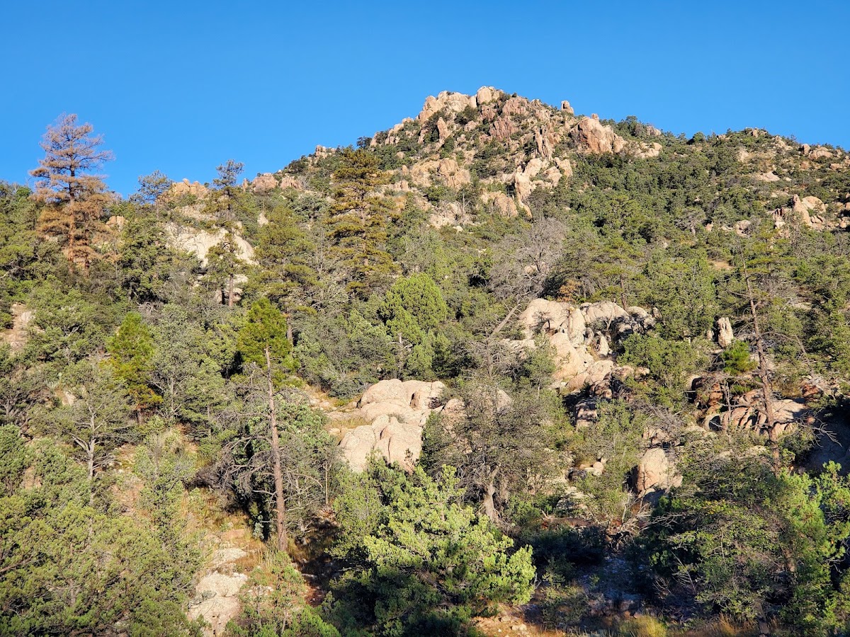 Apache Creek Trail