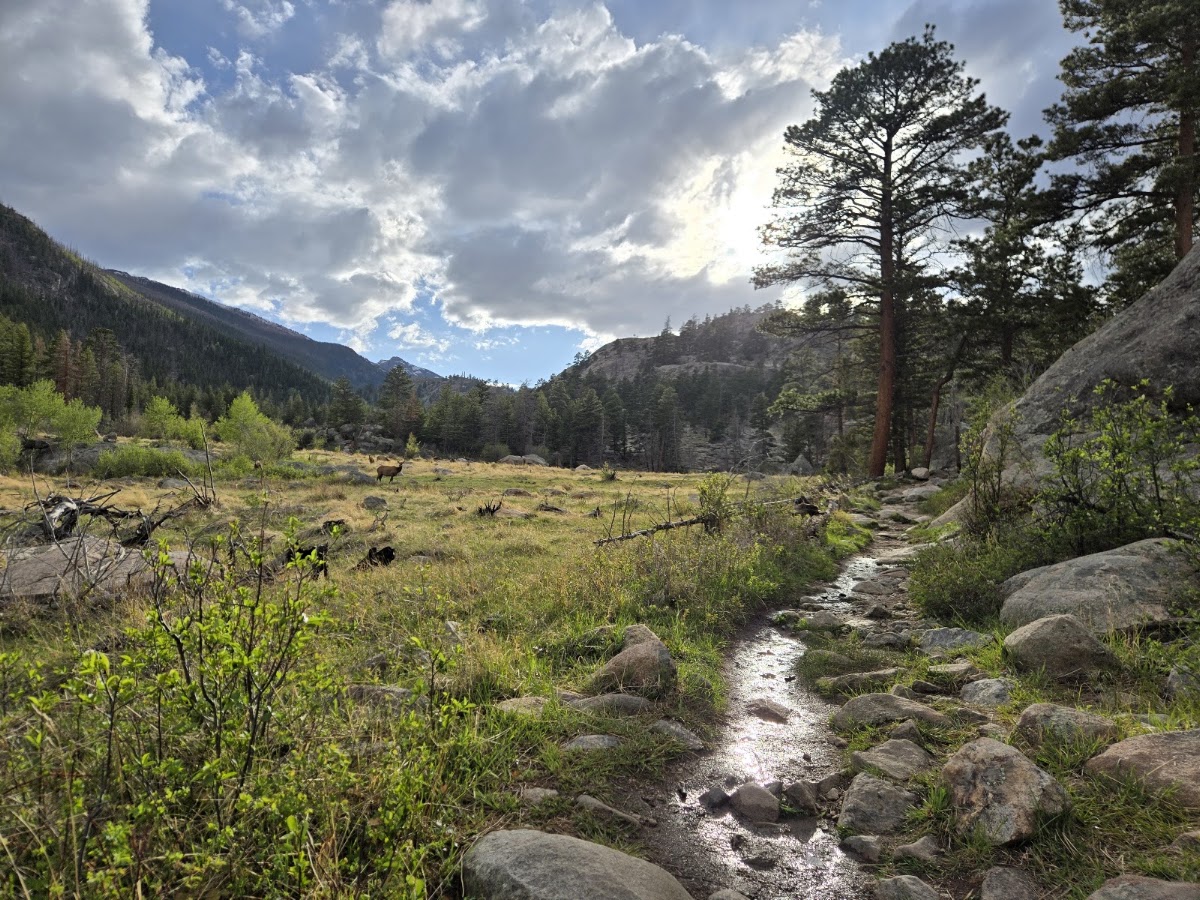 Cub Lake-Mill Creek Basin Trail