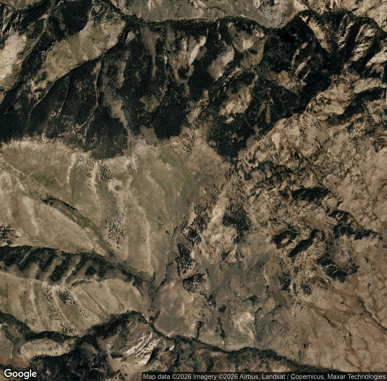 Wildcat - Camp Creek Trail