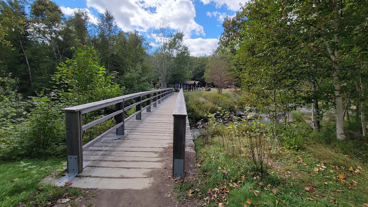 Katahdin Stream Campground