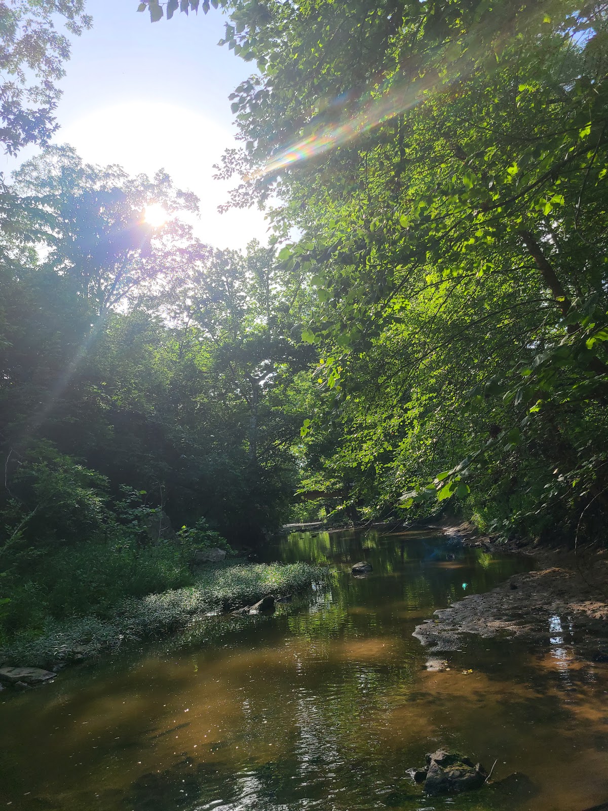 Hinkson Creek