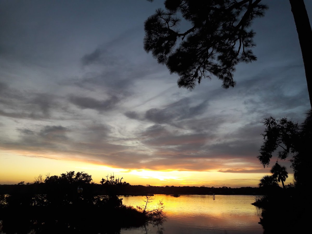 Tomoka River