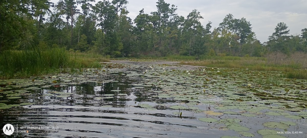 Silver Lake