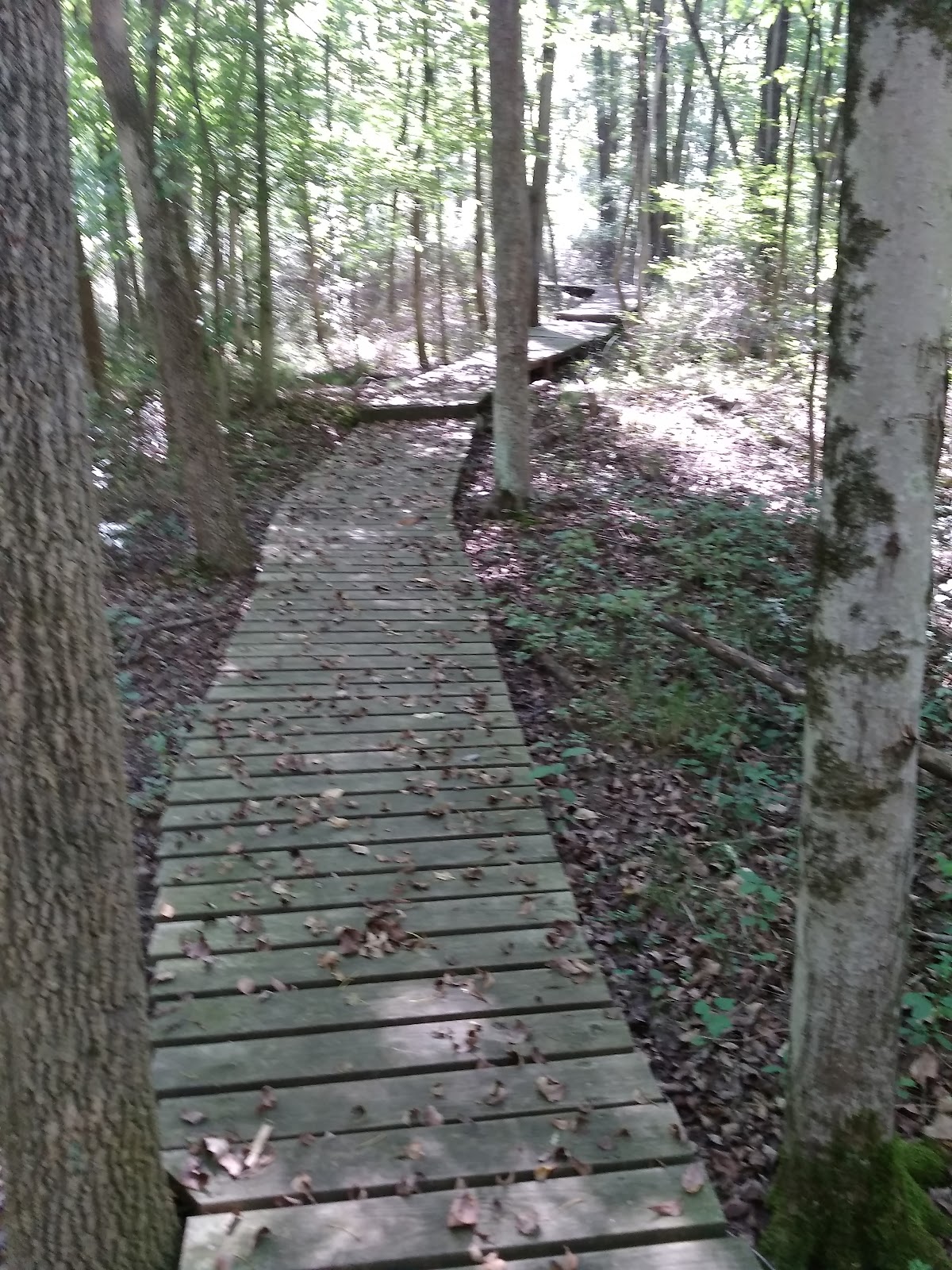 Gwynns Falls Trail