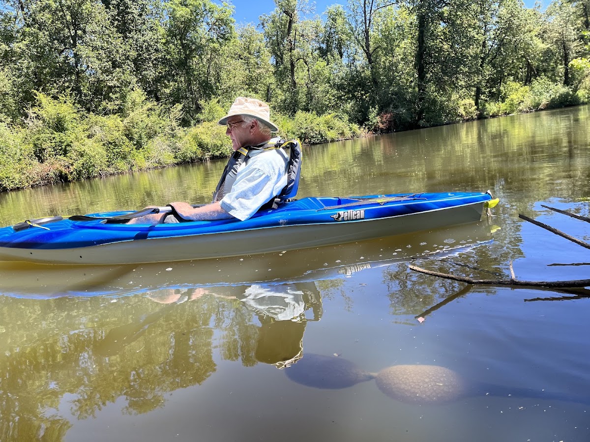 Coyote Creek