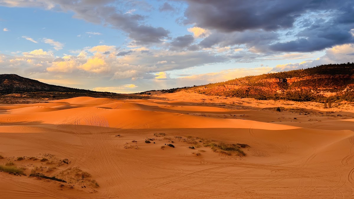 Coral Pink Sand Dunes BLM Open OHV Area