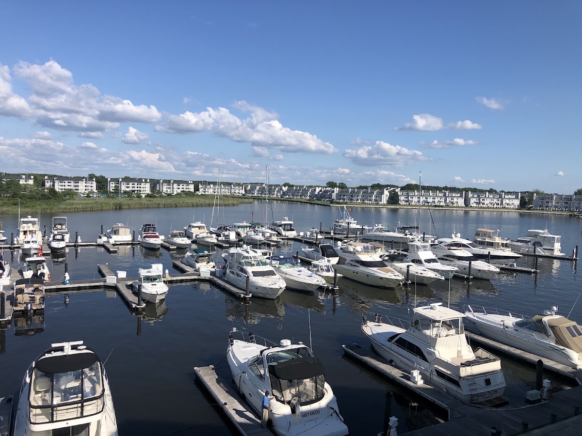 Prospect Bay