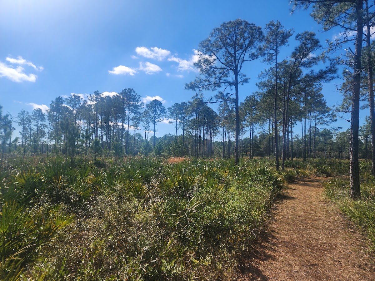 Pumpkin Hill Creek