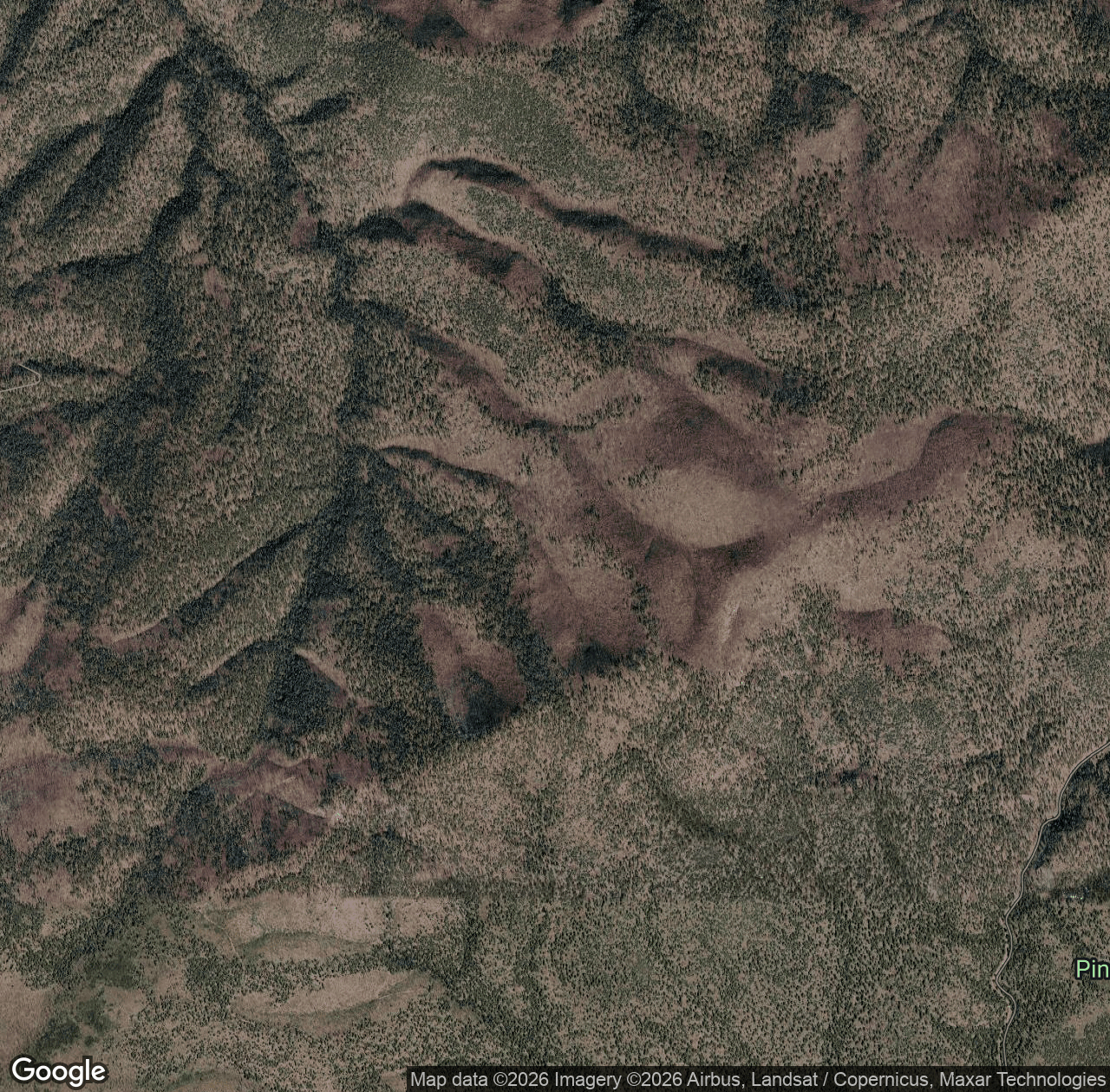 Divide Trail (15)