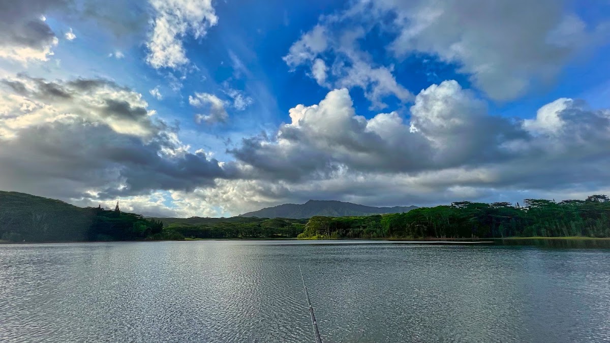 Wailua Reservoir