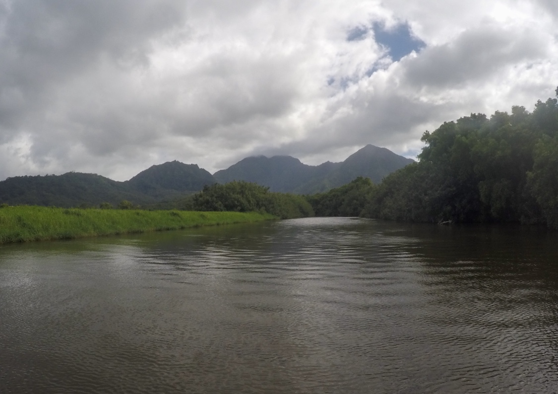 Hanalei River